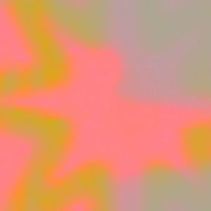 Meet your Posher, Coco